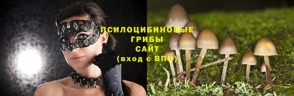 круглые Богородицк