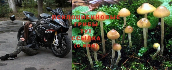 дистиллят марихуана Богданович