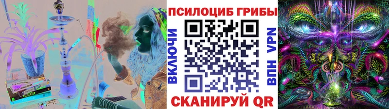Галлюциногенные грибы Psilocybe  ссылка на мегу онион  Валуйки 