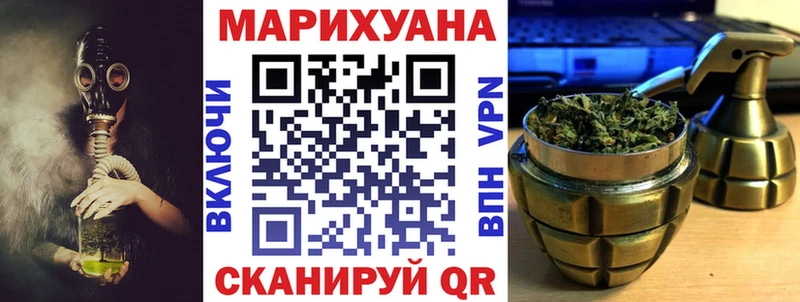 Конопля сатива  где найти   Валуйки 